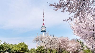 TP HỒ CHÍ MINH - SEOUL –NAMI – NAMSAN - EVERLAND 5N4Đ - Image - 11961